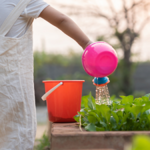 Garden growers