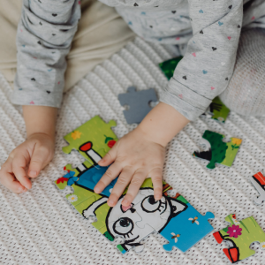 Puzzles: the science behind playful learning