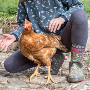 5 reasons how farm-based play supports your child’s development